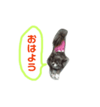 仲良し仲間たち（個別スタンプ：7）