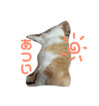 仲良し仲間たち（個別スタンプ：8）