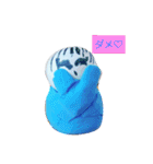 紙ねんどのくーちゃん（個別スタンプ：5）