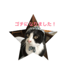 我が家の愉快なテン＆Q 2（個別スタンプ：6）