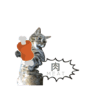 どこにでもいる猫（個別スタンプ：9）