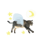 どこにでもいる猫（個別スタンプ：10）