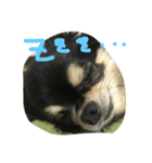 俺たちのまいにち。（個別スタンプ：1）