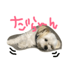 俺たちのまいにち。（個別スタンプ：3）