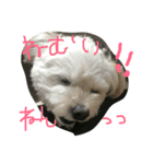 俺たちのまいにち。（個別スタンプ：5）