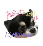 俺たちのまいにち。（個別スタンプ：7）