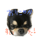 俺たちのまいにち。（個別スタンプ：8）
