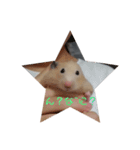 ハムスターきま（個別スタンプ：1）