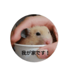ハムスターきま（個別スタンプ：4）