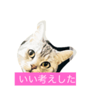 良い考えした！（個別スタンプ：1）