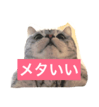 良い考えした！（個別スタンプ：3）