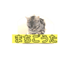 良い考えした！（個別スタンプ：4）
