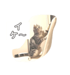 良い考えした！（個別スタンプ：6）