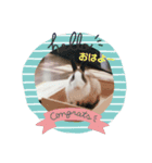ばにおず（個別スタンプ：1）