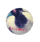 ばにおず（個別スタンプ：4）