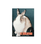 ばにおず（個別スタンプ：5）