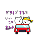 【便利】ねこ占い（個別スタンプ：39）