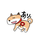 ゆるゆるな日本犬たち（個別スタンプ：1）