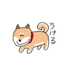 ゆるゆるな日本犬たち（個別スタンプ：4）