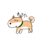 ゆるゆるな日本犬たち（個別スタンプ：6）