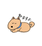 ゆるゆるな日本犬たち（個別スタンプ：7）