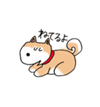 ゆるゆるな日本犬たち（個別スタンプ：8）