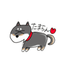 ゆるゆるな日本犬たち（個別スタンプ：11）