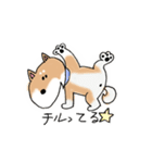 ゆるゆるな日本犬たち（個別スタンプ：12）