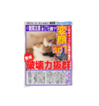 我が家のペットtoi et moi（個別スタンプ：7）