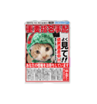 我が家のペットtoi et moi（個別スタンプ：8）
