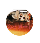 みみにゃんびー（個別スタンプ：8）