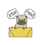 Ajijang いう (英語)（個別スタンプ：5）