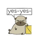 Ajijang いう (英語)（個別スタンプ：8）
