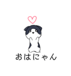 ねこひなた④（個別スタンプ：1）