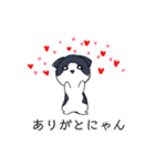 ねこひなた④（個別スタンプ：8）