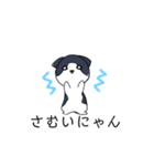 ねこひなた④（個別スタンプ：16）