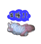 かわいいチェンの人生の记录（個別スタンプ：27）