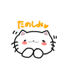 あんずにゃんこ（個別スタンプ：6）