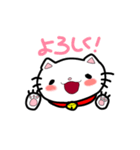 あんずにゃんこ（個別スタンプ：14）
