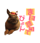 かわいいの天才（個別スタンプ：15）