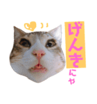 かわいいの天才（個別スタンプ：22）