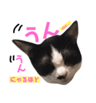 かわいいの天才（個別スタンプ：27）