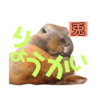 かわいいの天才（個別スタンプ：30）