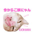 かわいいの天才（個別スタンプ：31）