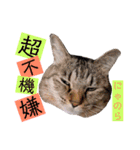 かわいいの天才（個別スタンプ：37）