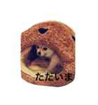 ポメポメスタンプ2（個別スタンプ：13）