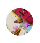 0421choco.（個別スタンプ：3）