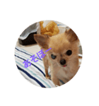 0421choco.（個別スタンプ：6）