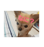 0421choco.（個別スタンプ：8）