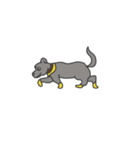 愛犬ラッキーの日常（個別スタンプ：3）